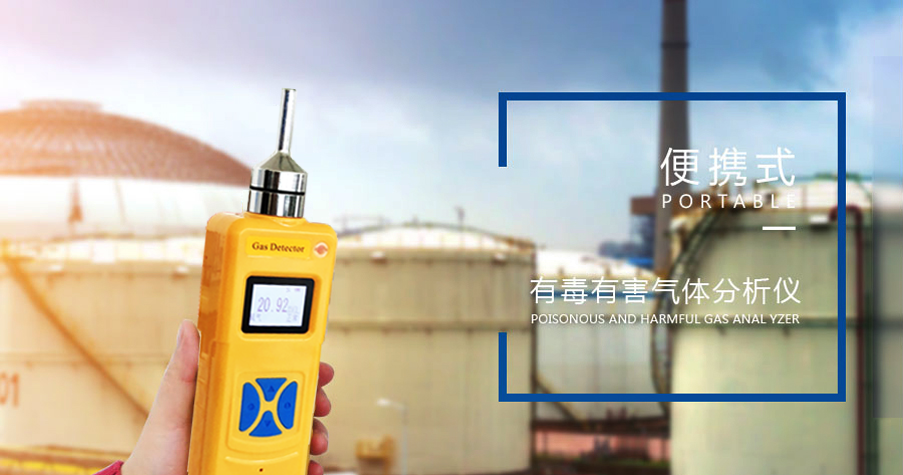 便攜式氣體檢測(cè)儀