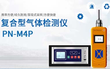 多種氣體檢測(cè)儀